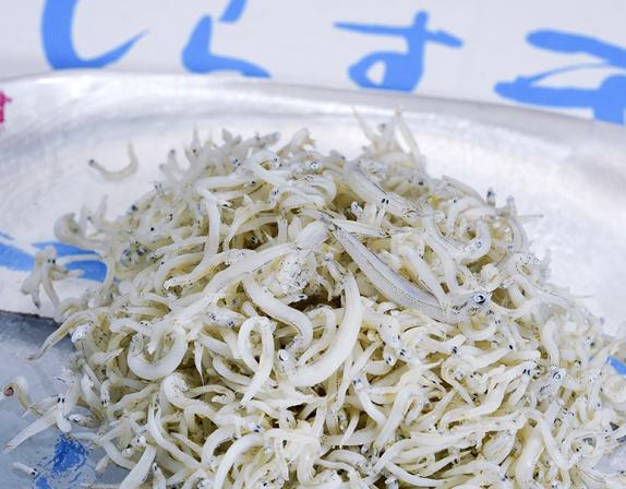 しらす干 国産 1kg 訳あり品（サイズ不揃い） 送料無料 ※冷凍｜豊洲