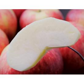 葉とらずりんご『未希ライフ』青森県産 岩木山りんご生産出荷組合 約3kg（7～12玉入） 産地箱 ※冷蔵　送料無料