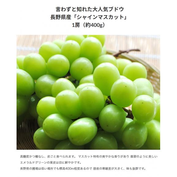 旬のジューシーフルーツ3種＋新品種Qなっつ (長野県シャインマスカット,黒ぶどうスチューベン,和歌山県有田みかん,Qなっつ) ※常温 送料無料02