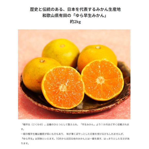 旬のジューシーフルーツ3種＋新品種Qなっつ (長野県シャインマスカット,黒ぶどうスチューベン,和歌山県有田みかん,Qなっつ) ※常温 送料無料04