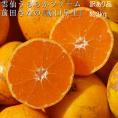【訳あり品】長崎県産 雲仙うららかファーム 前田さんの 原口早生 約3kg (バラ詰め/3S〜M) 常温　送料無料