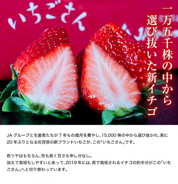大人気新品  いちごさん』 佐賀県産 いちご 2L～4L（8～12粒） 約240g×4 果物