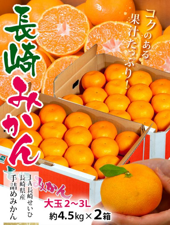 JA長崎せいひ『大玉手詰め 長崎みかん』 長崎県産柑橘 2～3L