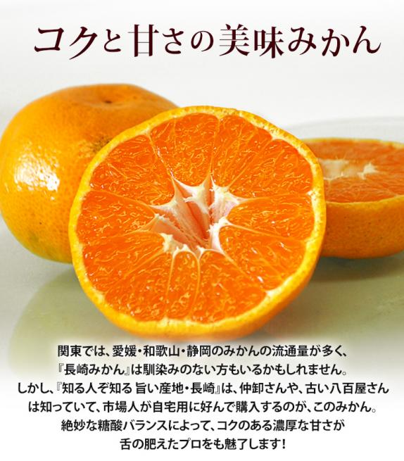 大玉手詰め 長崎みかん 長崎県産 2〜3L 約4.5kg×2箱産地箱 ※常温 JA