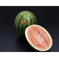 【フードロス削減】熊本県産『一果どりスイカ（品種：紅まくら）』 ハウス栽培 1玉 約5kg ※常温 送料無料