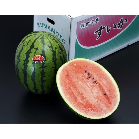 【フードロス削減】熊本県産『一果どりスイカ（品種：紅まくら）』 ハウス栽培 1玉 約5kg ※常温 送料無料03