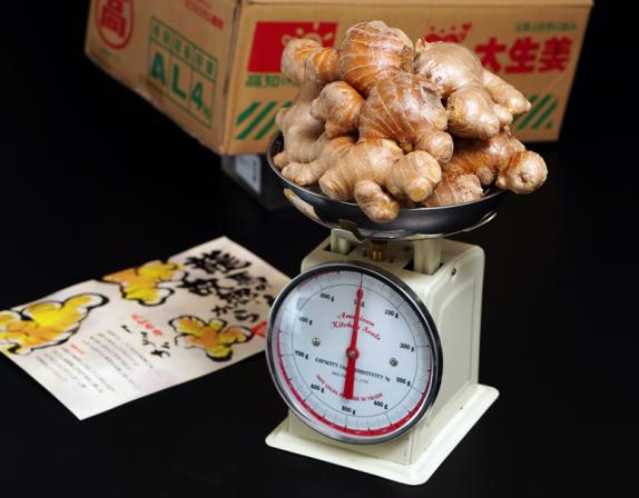 JA高知市 『大生姜』高知県産 約1kg 簡易箱入 ※冷蔵 送料無料｜豊洲
