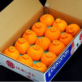 デコポン 熊本県産 優品以上 大玉 約5kg（12〜15玉）産地箱 ※常温　送料無料　熊本デコポン 柑橘