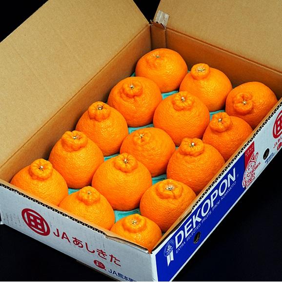 大玉『デコポン』熊本県産 優UP 4〜5L 約5kg(12〜15玉）産地箱