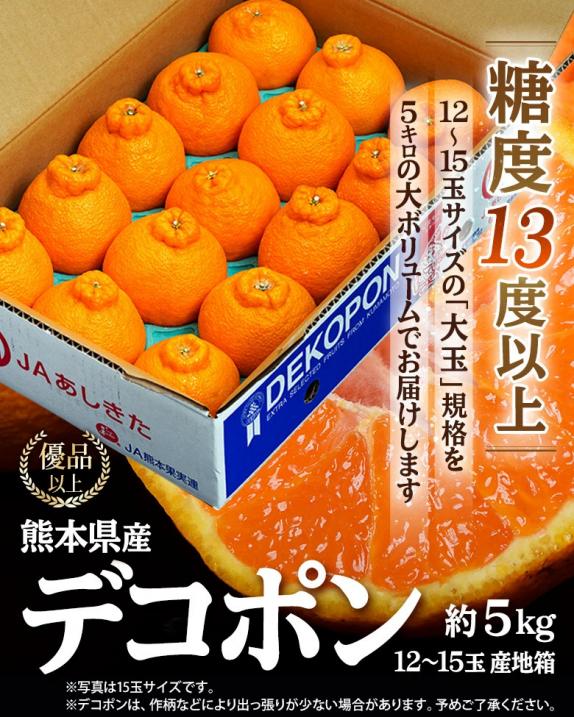 デコポン 熊本県産 優品以上 大玉 約5kg(12〜15玉)産地箱 デコポン 熊本県産 優品以上 大玉 約5kg(12〜15玉)産地箱