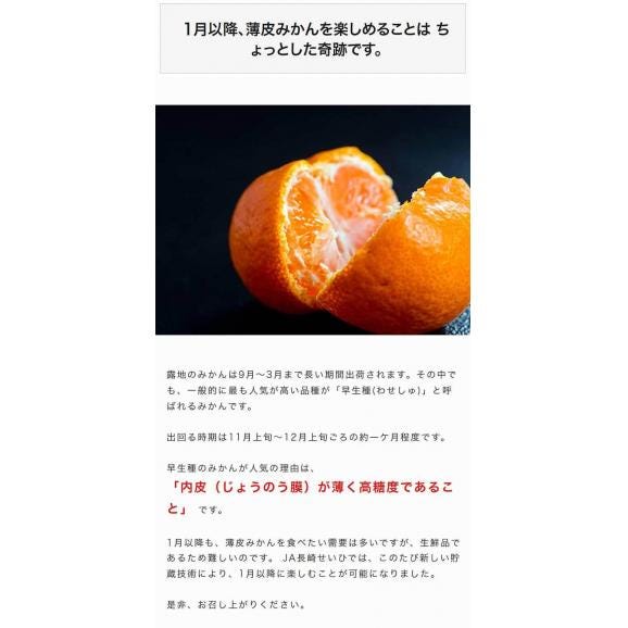冷温貯蔵 薄皮みかん 長崎県産 秀品 2S～Lサイズ 約1.2kg×2箱 産地箱 JA長崎せいひ ※常温　送料無料03