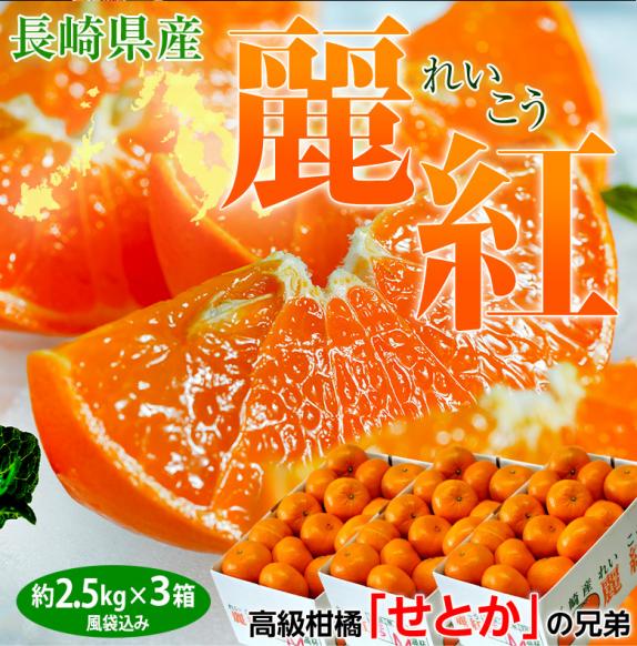 麗紅 （れいこう） キズ・スレ等あり JA長崎せいひ 長崎県産柑橘 無