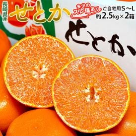 果汁たっぷりの高級柑橘