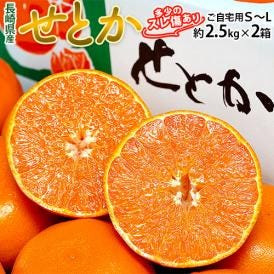 JA長崎せいひ『せとか』長崎県産 柑橘 S〜L 約2.5kg×2箱 産地箱 風袋込 キズ・スレ等あり※常温　送料無料