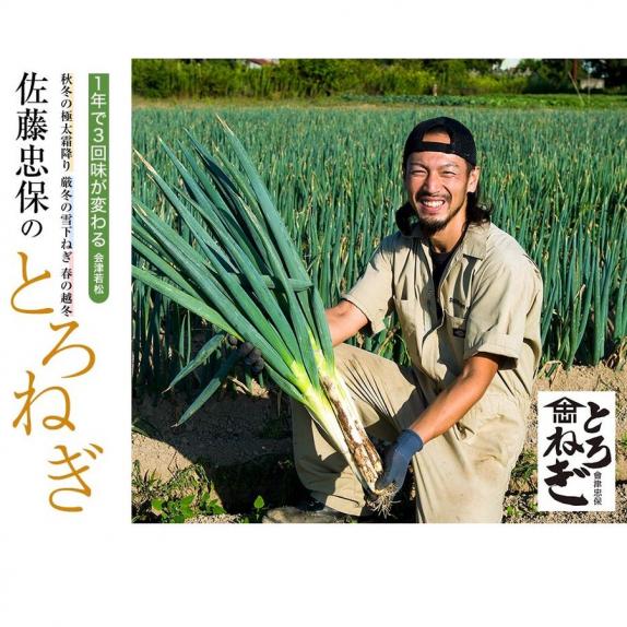 佐藤忠保さんのとろねぎ『春の越冬ねぎ』福島県会津若松産 約4kg (1箱