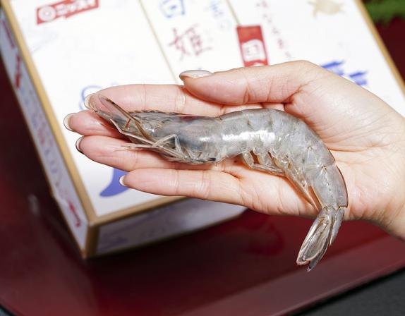有頭 白姫えび バラ凍結 特大サイズ 10～15尾 500g 生冷凍 国産 養殖