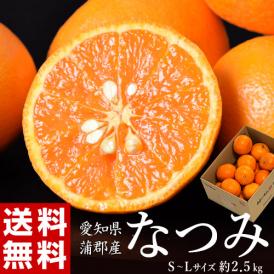 JA蒲郡市 なつみ （南津海） 愛知県産 優～秀品 S～L 風袋込 約2.5kg 簡易箱 ※常温  送料無料