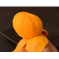 完熟ミニマンゴー 宮崎県産 約400g １パック Sサイズ（3～4玉）※常温 ※送料無料