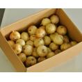 『新玉ねぎ』佐賀県産 風袋込約10kg L～2Lサイズ　 ※常温　送料無料