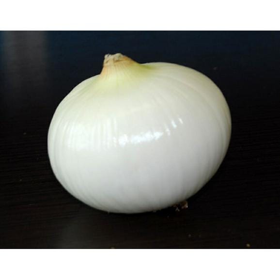 『新玉ねぎ』佐賀県産 風袋込約10kg L～2Lサイズ　 ※常温　送料無料02