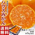 ハウスみかん 佐賀県産 秀品 S〜Mサイズ 約5kg (目安:50〜60玉) 産地箱 ※常温 JAからつ みかん 送料無料
