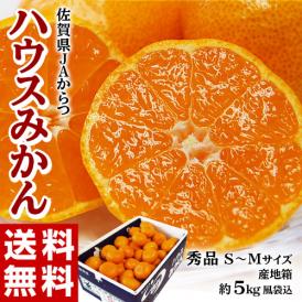 ハウスみかん 佐賀県産 秀品 S〜Mサイズ 約5kg (目安:50〜60玉) 産地箱 ※常温 JAからつ みかん 送料無料