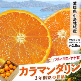 愛媛県 中島地域産 カラマンダリン 超小玉 2S 約2.5kg 目安として40～45個程度 ※冷蔵 送料無料