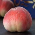 糖度13度基準 ぴ～一番 桃 信玄ランク 3玉 約900g 1箱 化粧箱入 山梨県産 JAかのいわ中央共選所 ※常温 送料無料