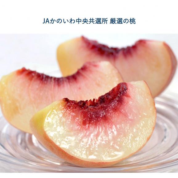 糖度13度基準 ぴ～一番 桃 信玄ランク 3玉 約900g 1箱 化粧箱入 山梨県産 JAかのいわ中央共選所 ※常温 送料無料02