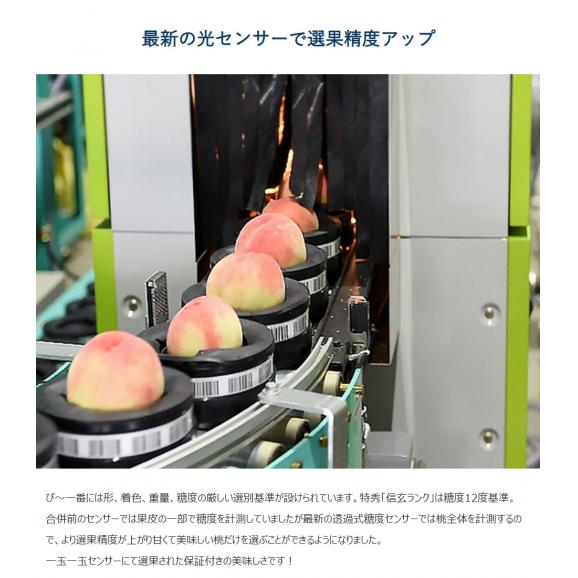 糖度13度基準 ぴ～一番 桃 信玄ランク 3玉 約900g 1箱 化粧箱入 山梨県産 JAかのいわ中央共選所 ※常温 送料無料05