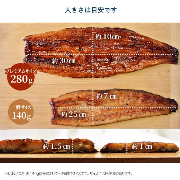 愛知県一色産 極大うなぎ 蒲焼1尾 約280g タレ・山椒３P付き ※冷凍 送料無料03