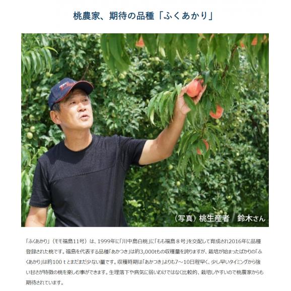 JAふくしま未来 の桃 『ふくあかり』福島県産 特秀品 約1.7kg 7～9玉 産地箱 ※常温 送料無料03