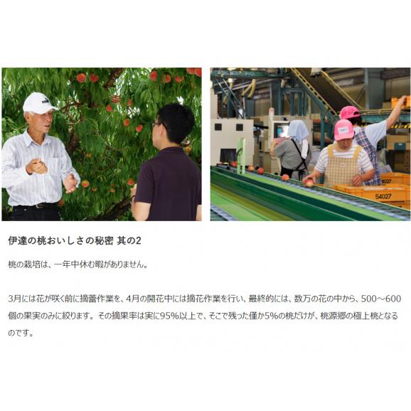 JAふくしま未来 の桃 『ふくあかり』福島県産 特秀品 約1.7kg 7～9玉 産地箱 ※常温 送料無料05