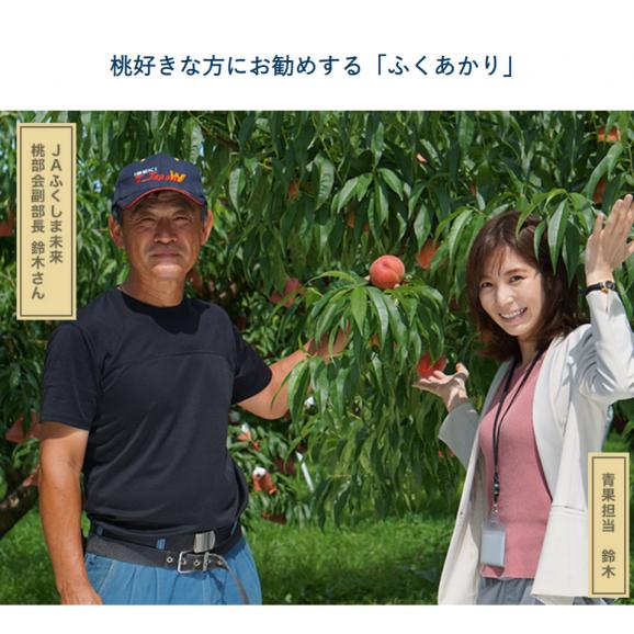 JAふくしま未来 の桃 『ふくあかり』福島県産 特秀品 約1.7kg 7～9玉 産地箱 ※常温 送料無料06