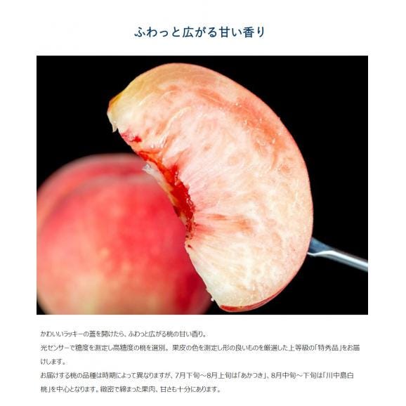 『らきもも』 福島県産 特秀品 約1.6kg（6～9玉）×2箱 ※常温 送料無料02