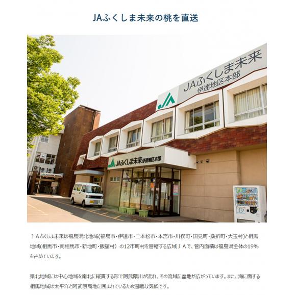 『らきもも』 福島県産 特秀品 約1.6kg（6～9玉）×2箱 ※常温 送料無料03