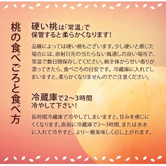 らきもも 福島県産 桃 特秀品 約1.6kg（5～8玉）×2箱 ※常温 JAふくしま未来 送料無料05
