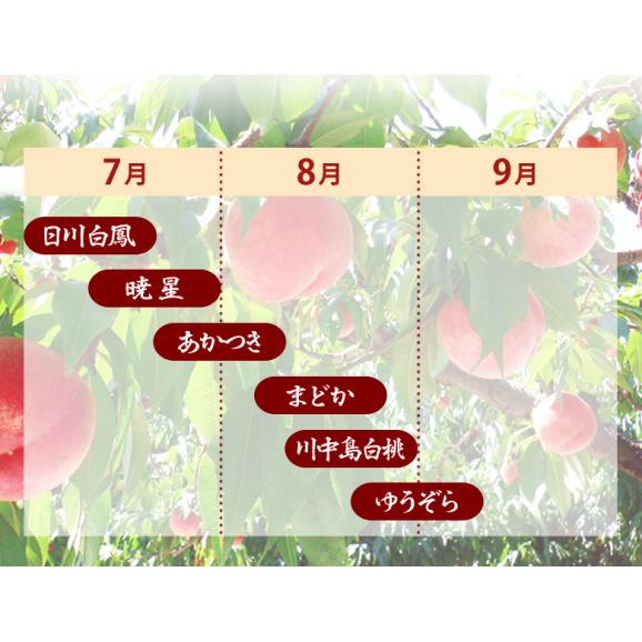 らきもも 福島県産 桃 特秀品 約1.6kg（5～8玉）×2箱 ※常温 JAふくしま未来 送料無料06