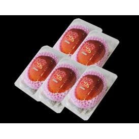 JAおきなわ『マンゴー』 沖縄県産マンゴー 5玉 L～2Lサイズ （1玉約310g）簡易包装 ※常温 送料無料