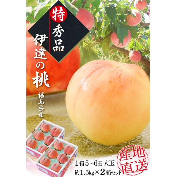 伊達の桃 ミスピーチ 特秀品 大玉 約1.5kg×2箱 (1箱：5～6玉) 産地直送 JAふくしま未来 福島県産 ※常温 送料無料02