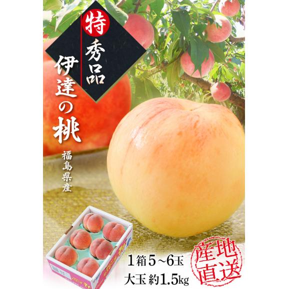 JAふくしま未来 福島県産 「伊達の桃」 特秀品 大玉 約1.5kg 1箱：5～6玉 ※常温 送料無料02