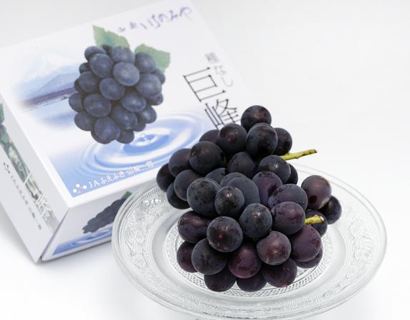 種なし巨峰 山梨県産 JAふえふき 化粧箱 約750g×2箱 (1箱に2房入