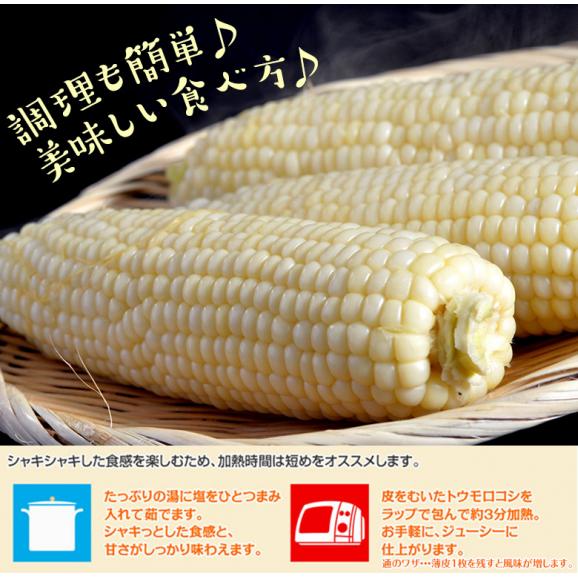 『雪の妖精』北海道産とうもろこし 10本（1本約350g前後）約3.5kg ※冷蔵　送料無料 04