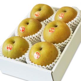 糖度13度以上『新甘泉（しんかんせん）梨』 鳥取県産 秀 約2.4kg（5～9玉）簡易箱 ※冷蔵　送料無料