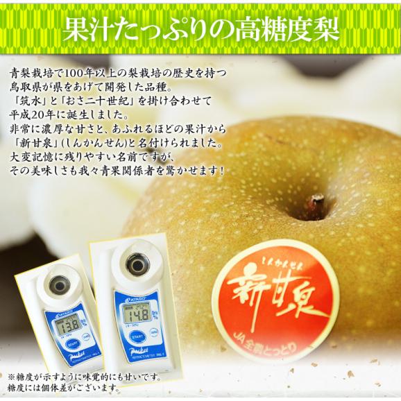 糖度13度以上『新甘泉（しんかんせん）梨』 鳥取県産 秀 約2.4kg（5～9玉）簡易箱 ※冷蔵　送料無料02