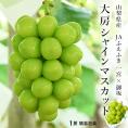 JAふえふき 大房  シャインマスカット  青秀品 1房 約700g 山梨県産 簡易箱 ※冷蔵 送料無料
