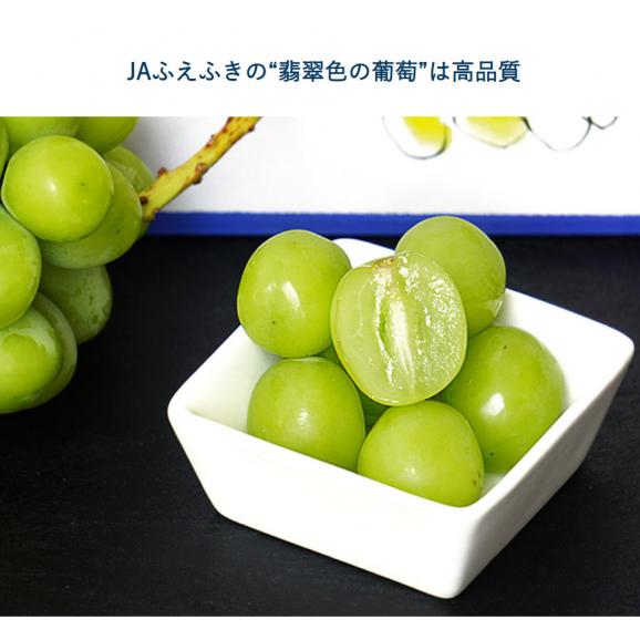 JAふえふき 大房  シャインマスカット  青秀品 1房 約700g 山梨県産 簡易箱 ※冷蔵 送料無料02