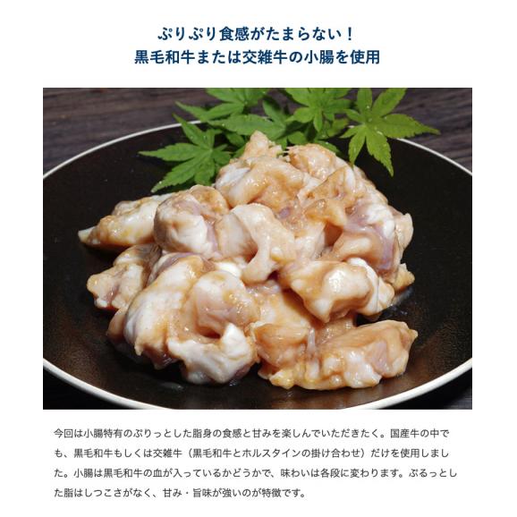 今夜みそ使用『たれ漬けホルモン』黒毛和牛または交雑牛 国産 300g×5P（計1.5kg） ※冷凍　送料無料03