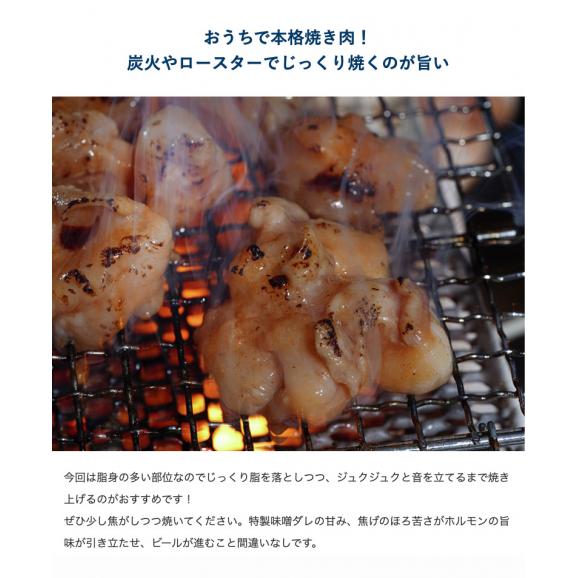 今夜みそ使用『たれ漬けホルモン』黒毛和牛または交雑牛 国産 300g×5P（計1.5kg） ※冷凍　送料無料05