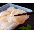 『生ほたて』宮城県石巻産 500g（12～15玉）産地直送 ※冷蔵 送料無料